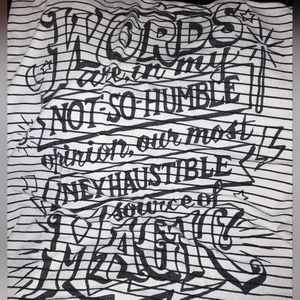 Torrid size 5 Harry Potter shirt